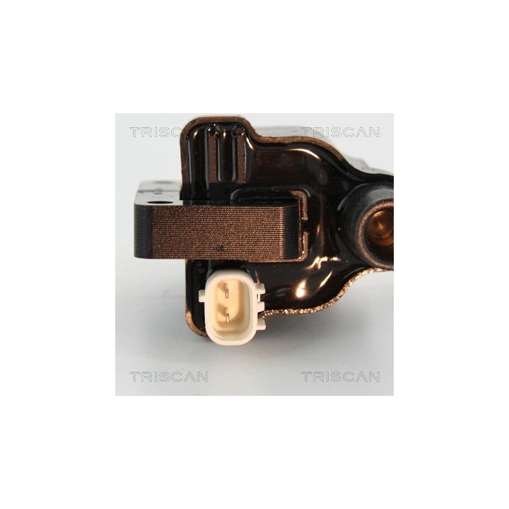 Ritė, uždegimas TRISCAN 8860 50022