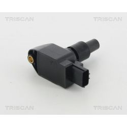 Ritė, uždegimas TRISCAN 8860 50023