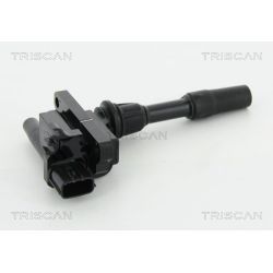 Ritė, uždegimas TRISCAN 8860 50026
