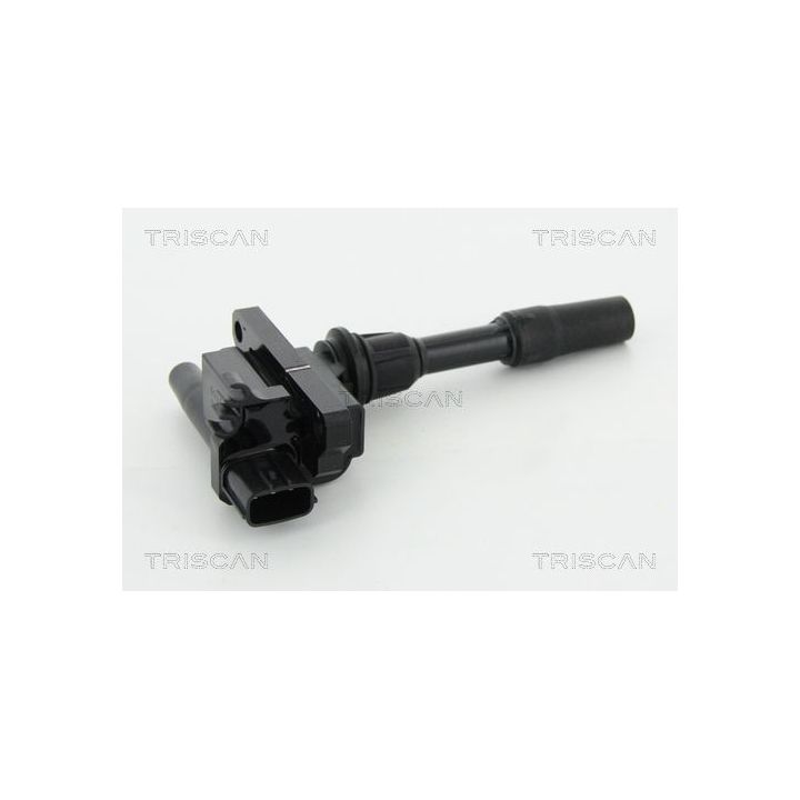 Ritė, uždegimas TRISCAN 8860 50026