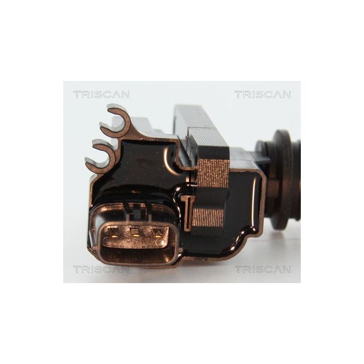 Ritė, uždegimas TRISCAN 8860 50026