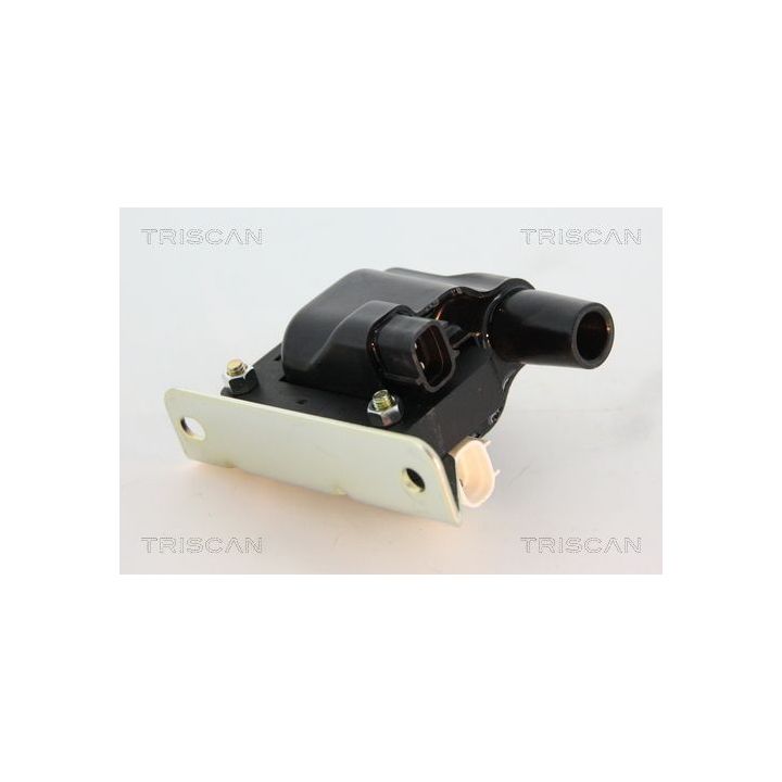 Ritė, uždegimas TRISCAN 8860 50027