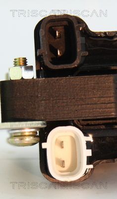 Ritė, uždegimas TRISCAN 8860 50027