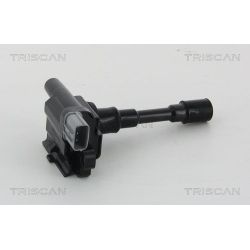 Ritė, uždegimas TRISCAN 8860 69007