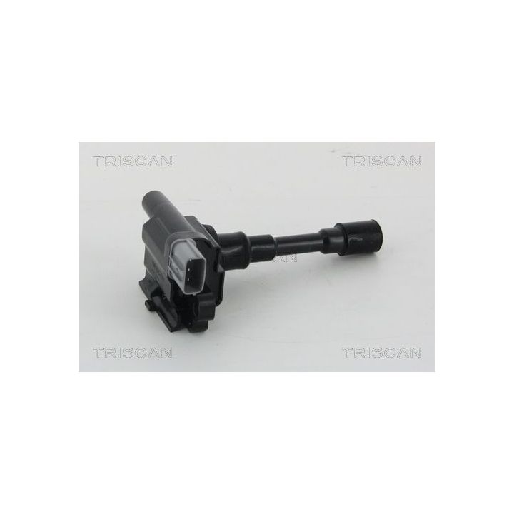 Ritė, uždegimas TRISCAN 8860 69007