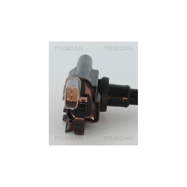 Ritė, uždegimas TRISCAN 8860 69007