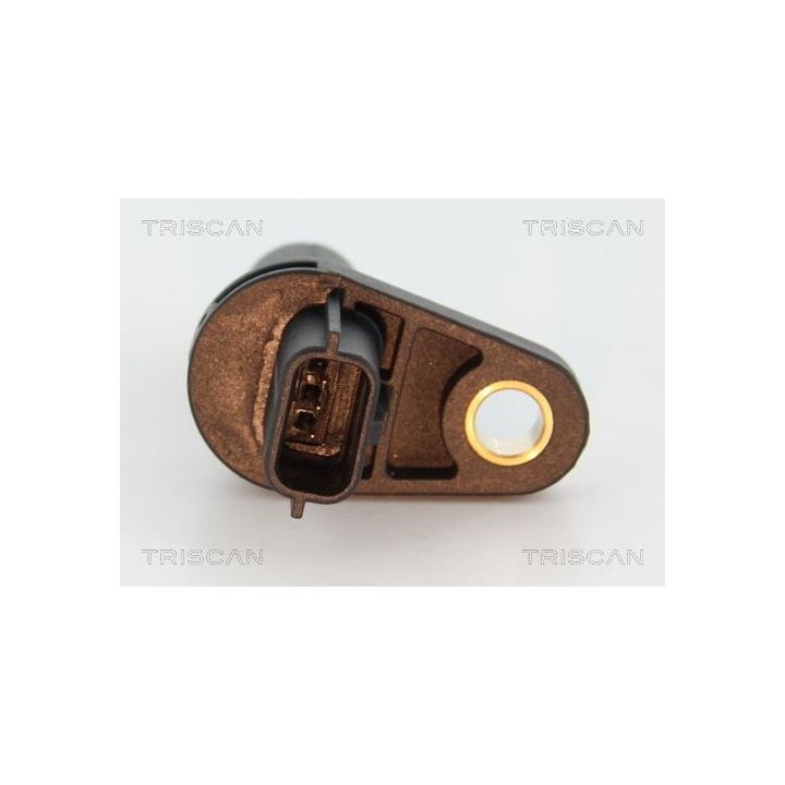 Jutiklis, alkūninio veleno impulsas TRISCAN 8855 14103