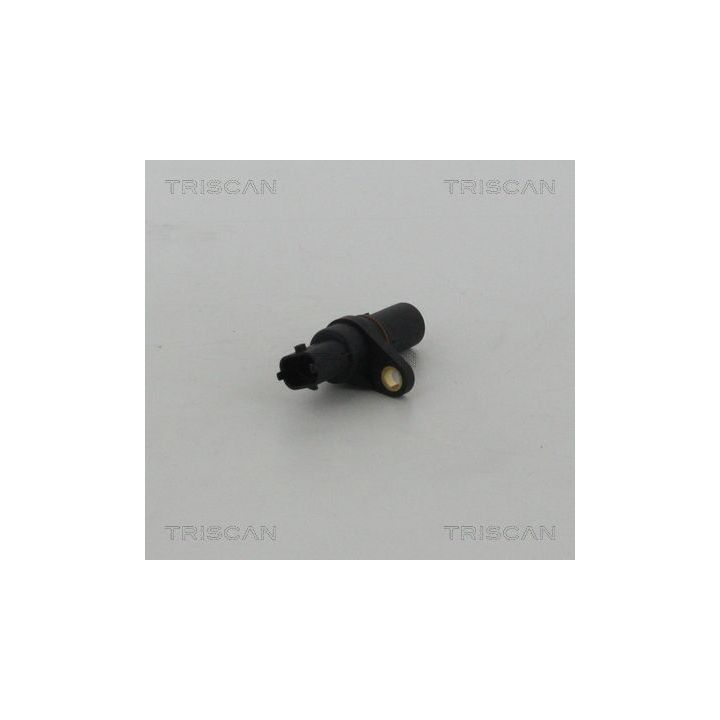 Jutiklis, alkūninio veleno impulsas TRISCAN 8855 24111