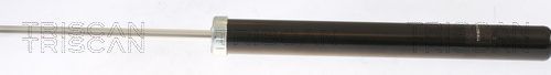 Amortizatorius TRISCAN 8705 10201