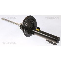 Amortizatorius TRISCAN 8705 25108