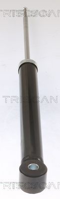 Amortizatorius TRISCAN 8705 25204