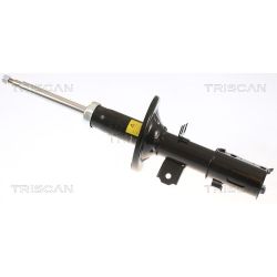 Amortizatorius TRISCAN 8705 43102