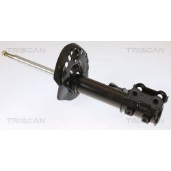Amortizatorius TRISCAN 8705 43105