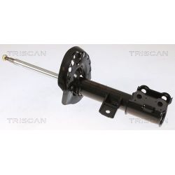 Amortizatorius TRISCAN 8705 43106