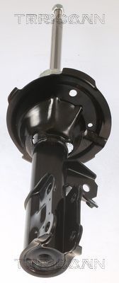 Amortizatorius TRISCAN 8705 43109