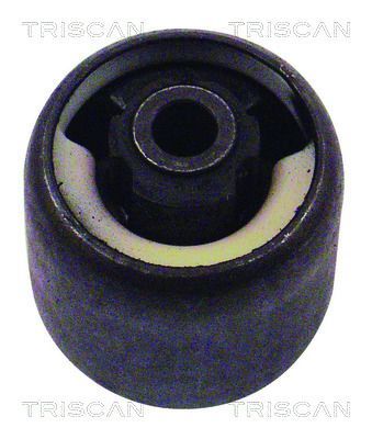 Stebulės laikiklio įvorė TRISCAN 8500 16822