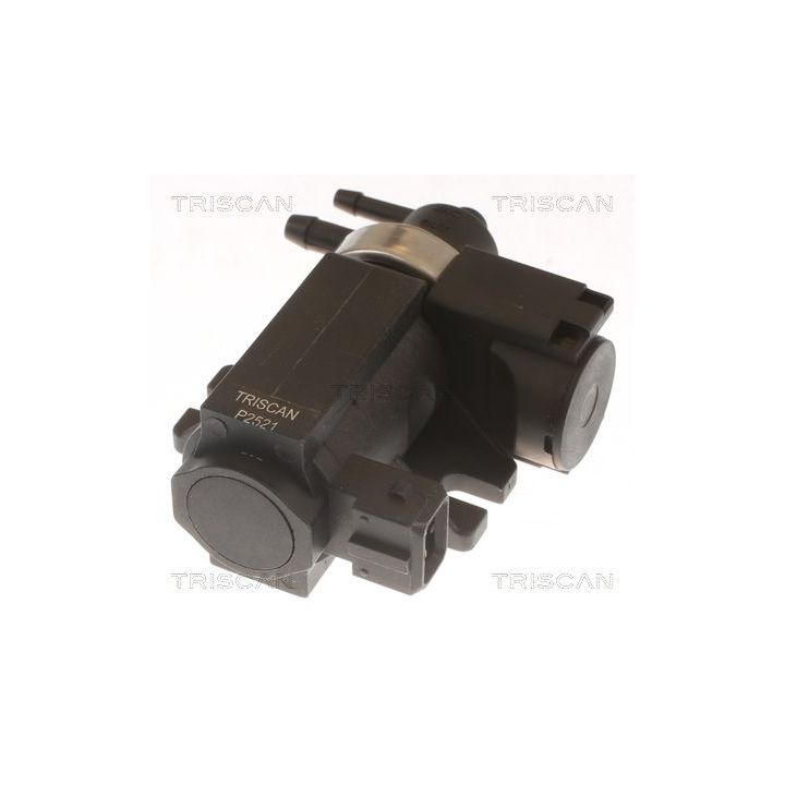 Slegio keitiklis, išmetimo valdymas TRISCAN 8813 10036