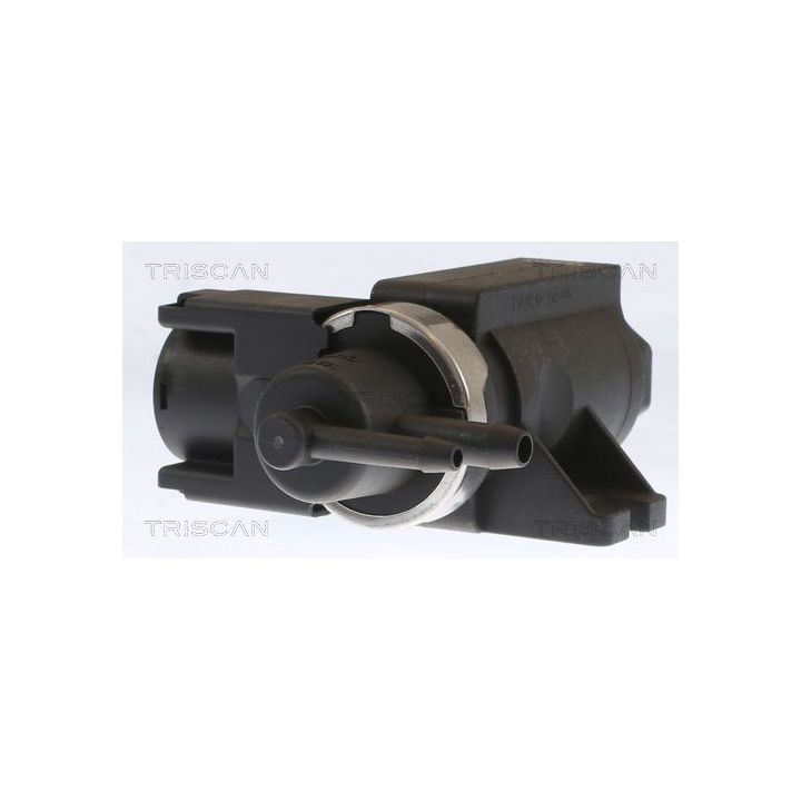 Slegio keitiklis, išmetimo valdymas TRISCAN 8813 10036