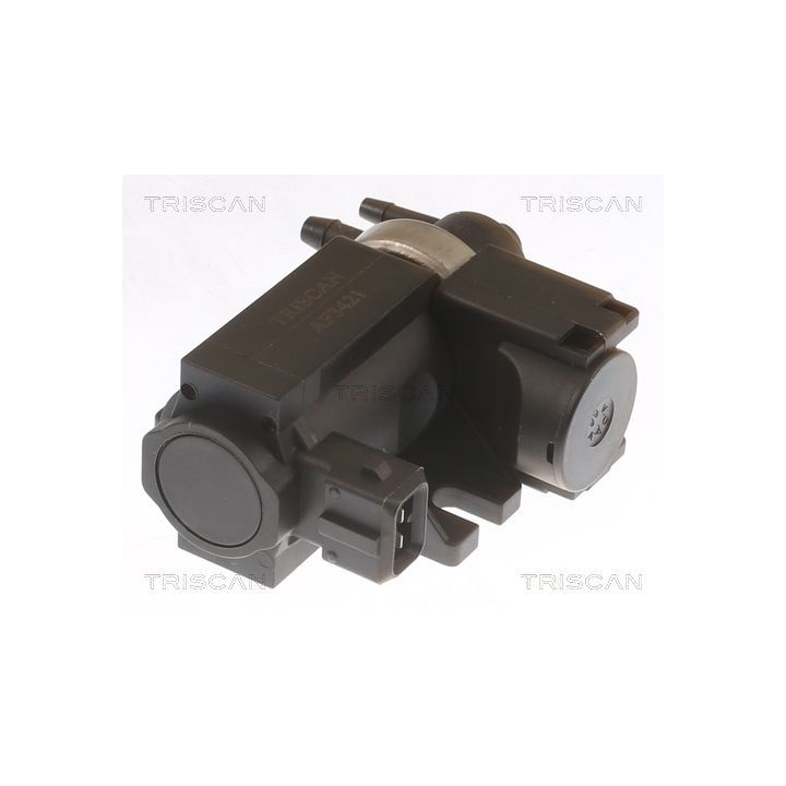 Slegio keitiklis, išmetimo valdymas TRISCAN 8813 10038