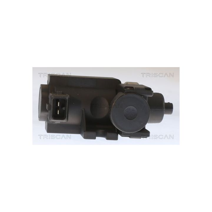 Slegio keitiklis, išmetimo valdymas TRISCAN 8813 10038