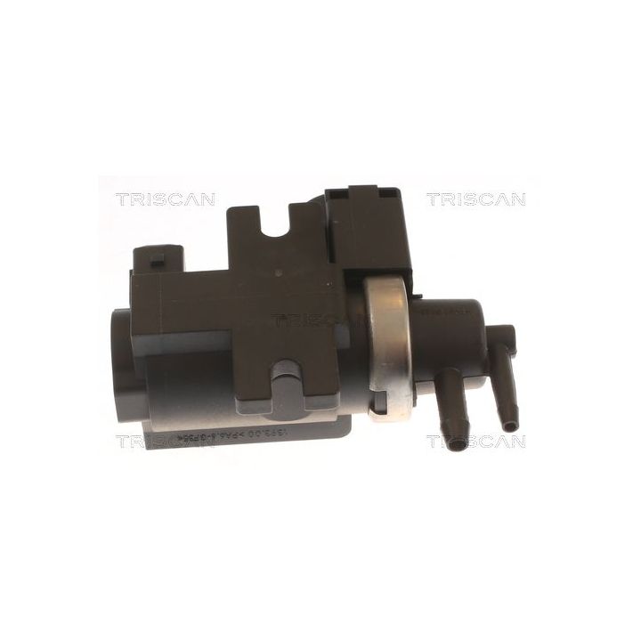 Slegio keitiklis, išmetimo valdymas TRISCAN 8813 10038
