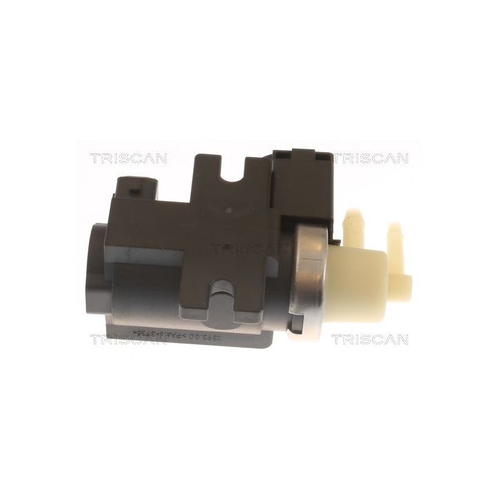 Slegio keitiklis, išmetimo valdymas TRISCAN 8813 10040