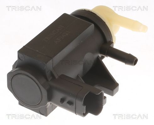 Slegio keitiklis, išmetimo valdymas TRISCAN 8813 10041