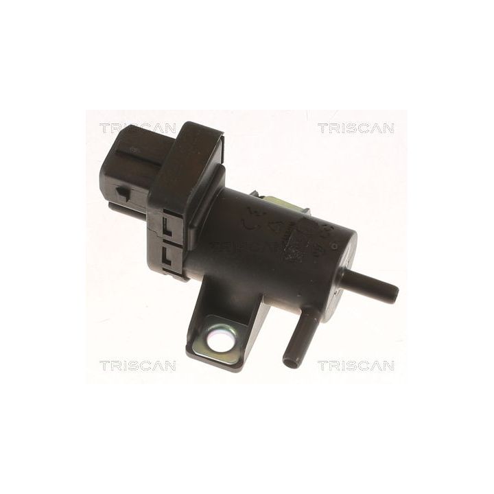 Slegio keitiklis, išmetimo valdymas TRISCAN 8813 10042