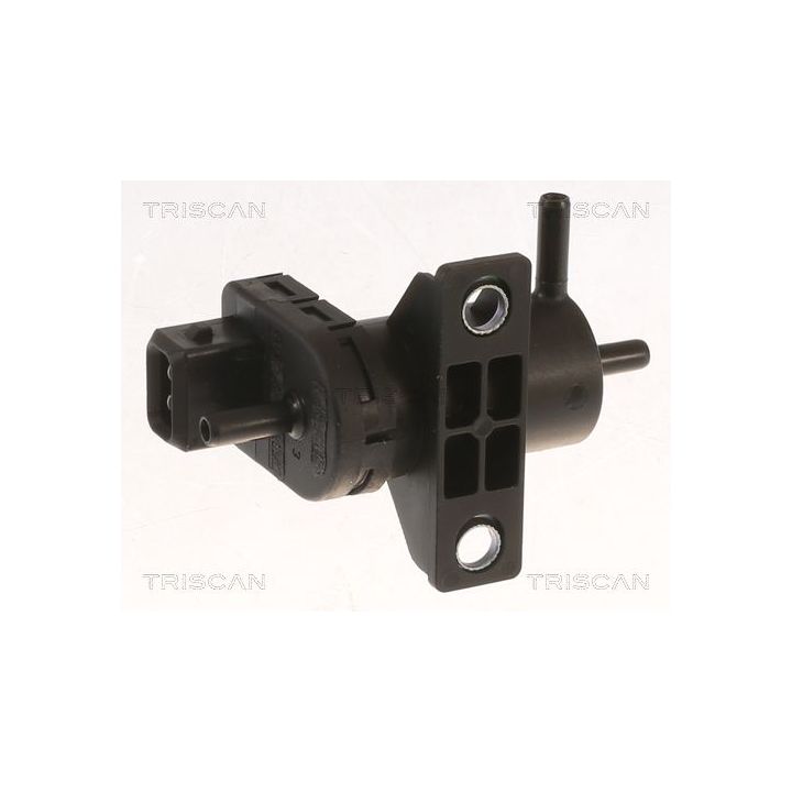 Slegio keitiklis, išmetimo valdymas TRISCAN 8813 10042