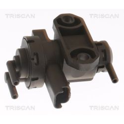 Slegio keitiklis, išmetimo valdymas TRISCAN 8813 10047