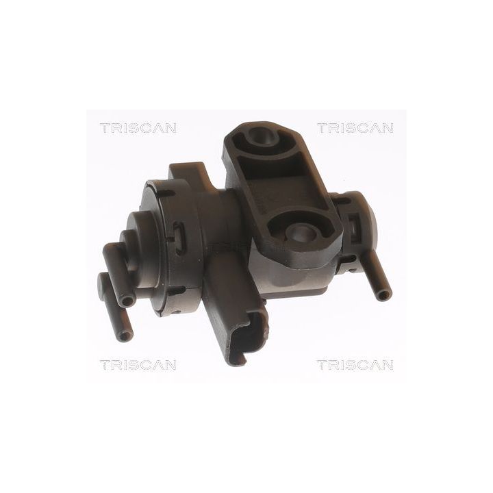 Slegio keitiklis, išmetimo valdymas TRISCAN 8813 10047