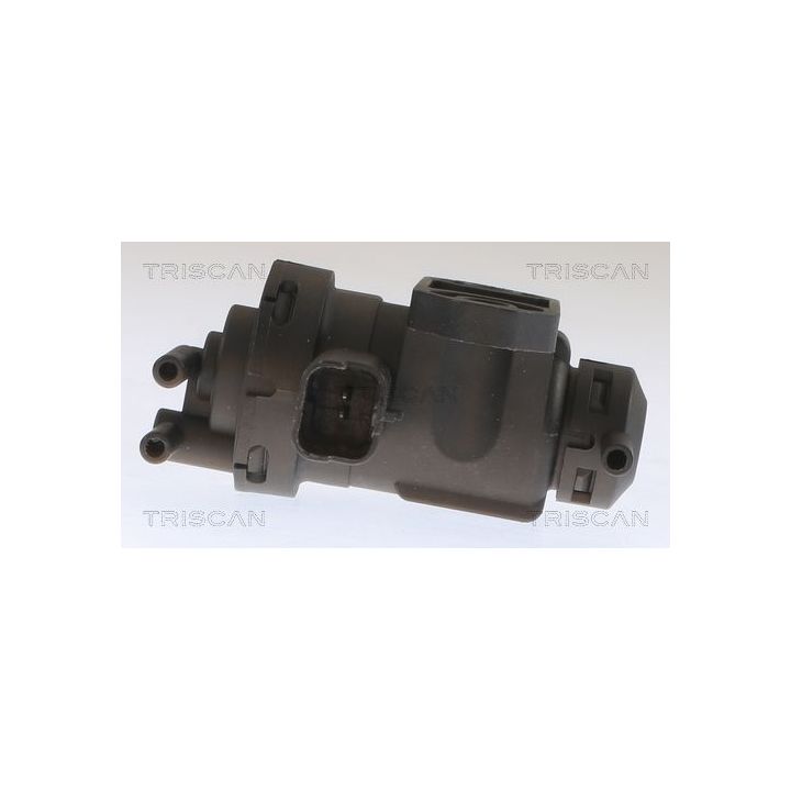 Slegio keitiklis, išmetimo valdymas TRISCAN 8813 10047