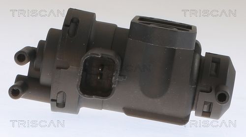 Slegio keitiklis, išmetimo valdymas TRISCAN 8813 10047