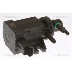 Slegio keitiklis, išmetimo valdymas TRISCAN 8813 10049