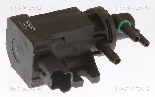 Slegio keitiklis, išmetimo valdymas TRISCAN 8813 10049