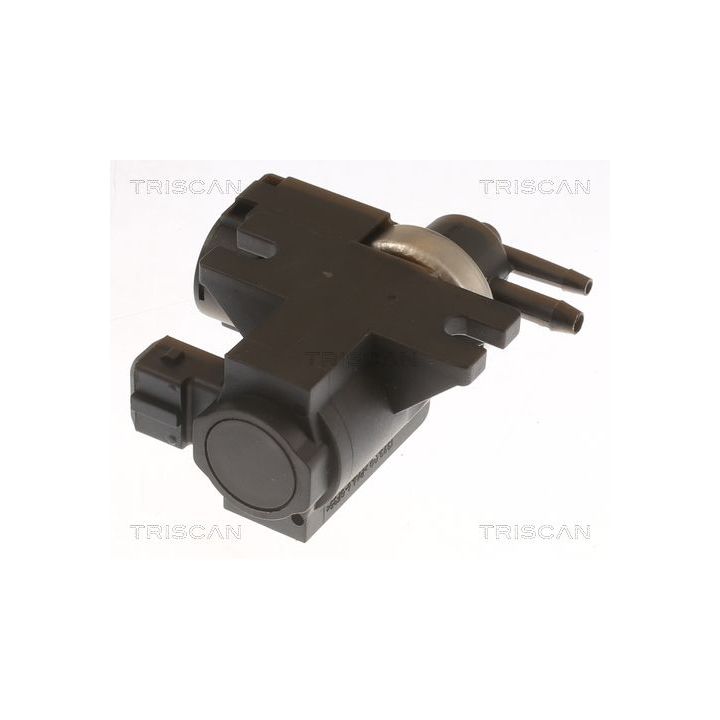 Slegio keitiklis, išmetimo valdymas TRISCAN 8813 10050