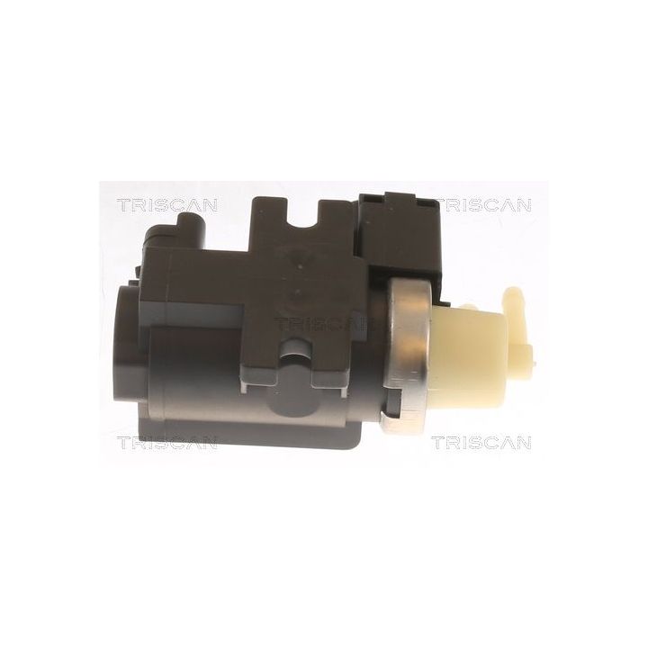 Slegio keitiklis, išmetimo valdymas TRISCAN 8813 10051