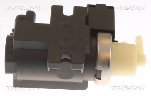 Slegio keitiklis, išmetimo valdymas TRISCAN 8813 10051