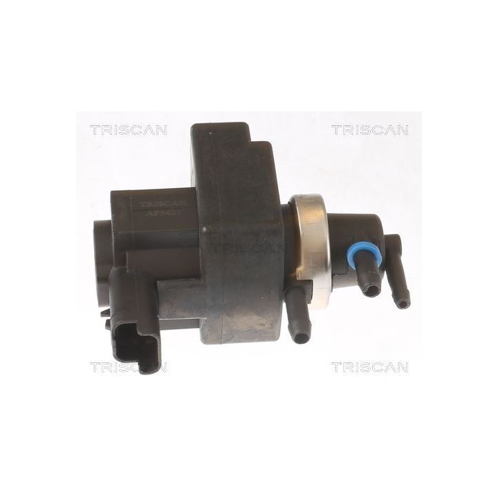 Slegio keitiklis, išmetimo valdymas TRISCAN 8813 11017