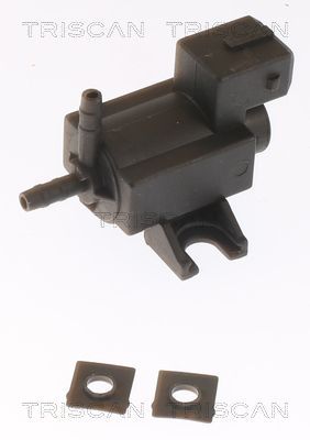 Slegio keitiklis, išmetimo valdymas TRISCAN 8813 15002