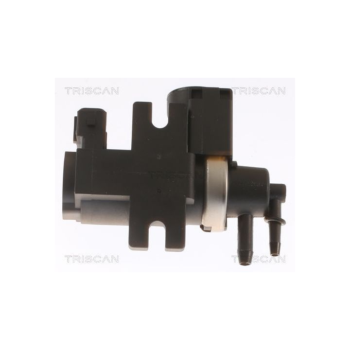 Slegio keitiklis, išmetimo valdymas TRISCAN 8813 15004