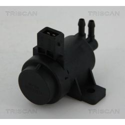 Slegio keitiklis, išmetimo valdymas TRISCAN 8813 25021