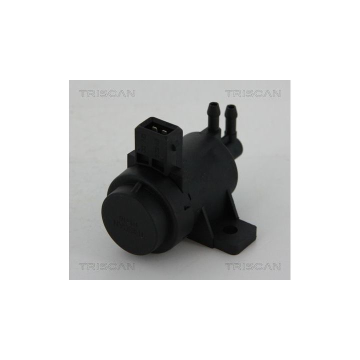 Slegio keitiklis, išmetimo valdymas TRISCAN 8813 25021