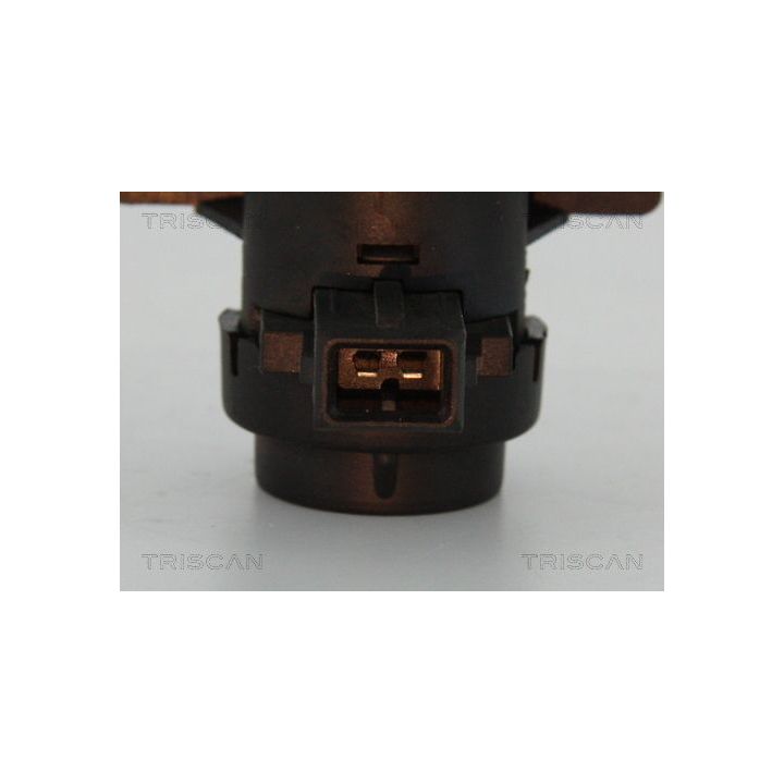 Slegio keitiklis, išmetimo valdymas TRISCAN 8813 25021