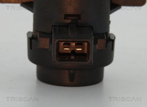 Slegio keitiklis, išmetimo valdymas TRISCAN 8813 25021