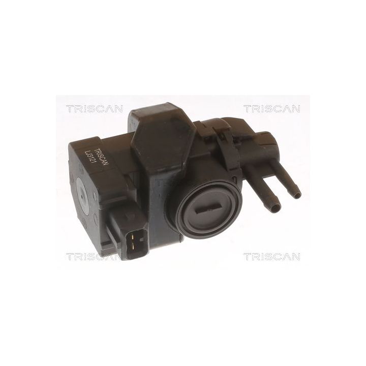 Slegio keitiklis, išmetimo valdymas TRISCAN 8813 25044