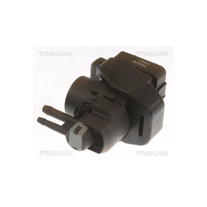 Slegio keitiklis, išmetimo valdymas TRISCAN 8813 25047