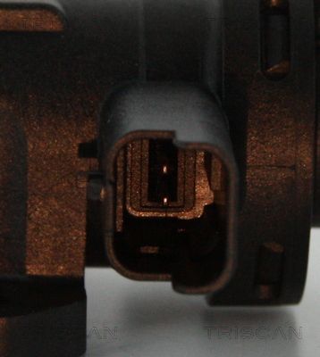 Slegio keitiklis, išmetimo valdymas TRISCAN 8813 28016