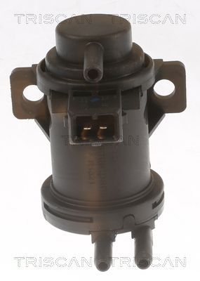 Slegio keitiklis, išmetimo valdymas TRISCAN 8813 29107