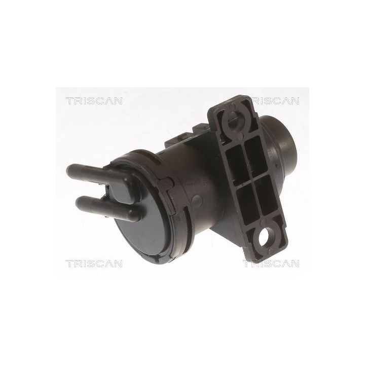 Slegio keitiklis, išmetimo valdymas TRISCAN 8813 29107